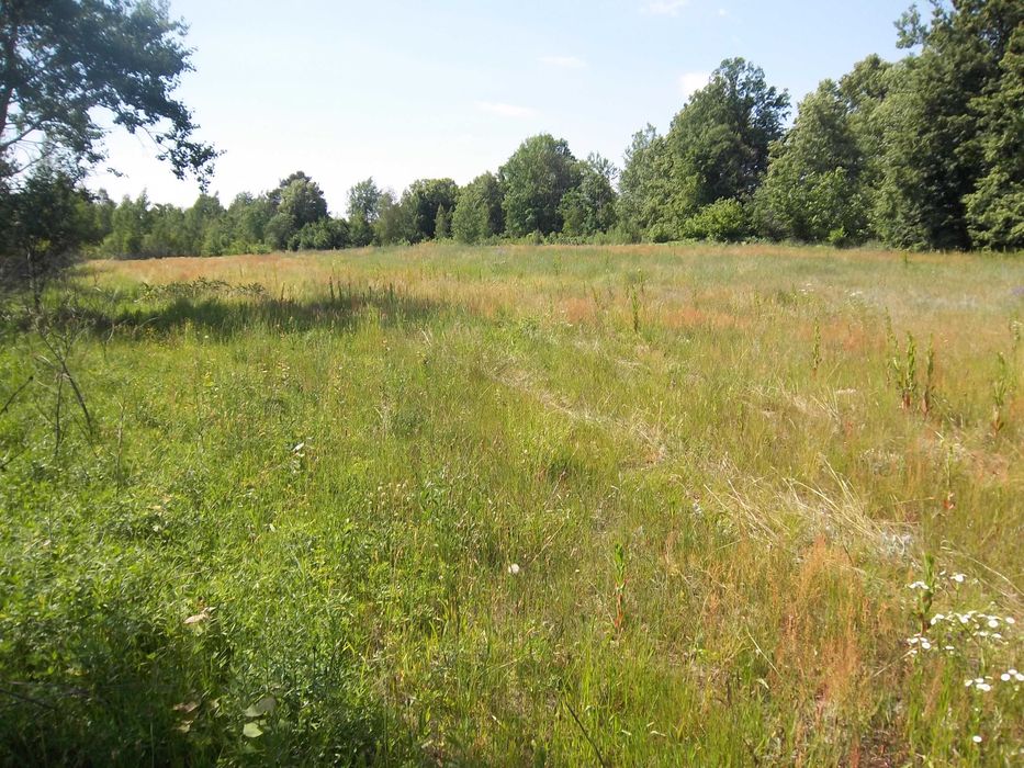 Продам приватизовану земельну ділянку