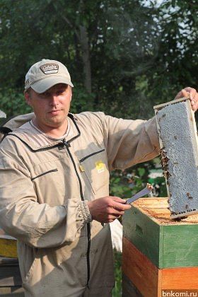 Бджолопакети Карніка Зінгер (Singer >F1) Австрія. пчелопакеты