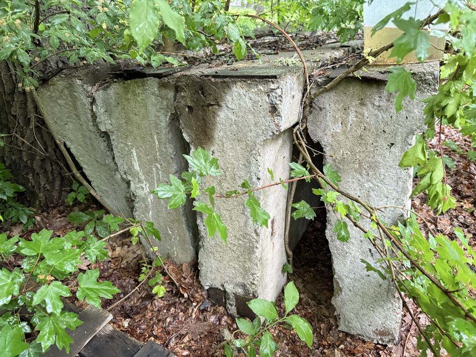 Ригиля 9м б/у стан хорогий