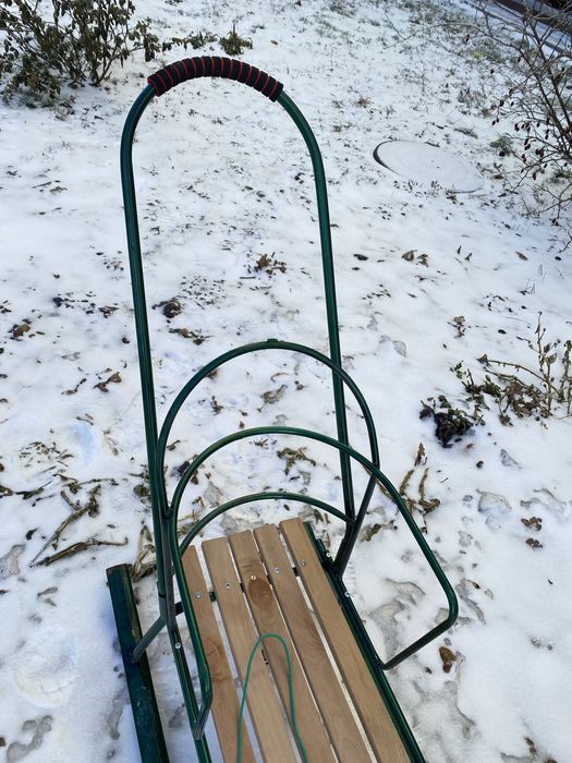 Дитячі санки з батьківською ручкою