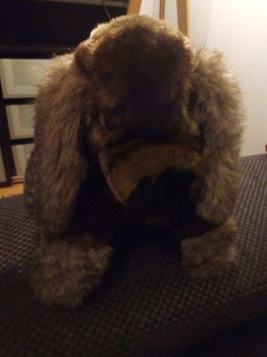 Maskotka pies naturalny