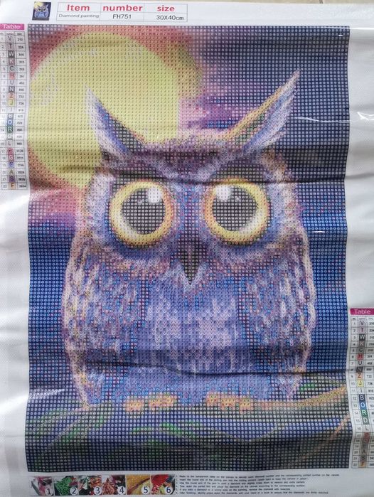 Diamond Painting Canvases to Be Completed (Various, See Photos)64729679222915121