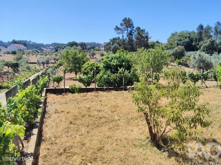Terreno em Castelo