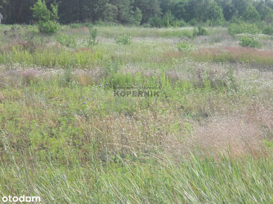 Działka budowlana Gutowo!!!