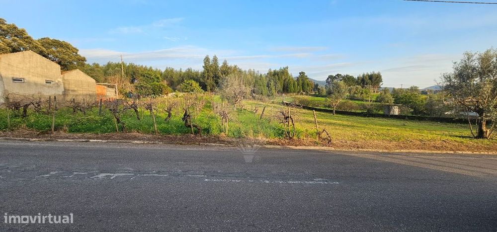 Terreno  para venda — Vacariça, Aveiro