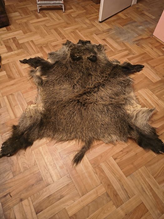Naturalna skóra  z dzika- zaproponuj swoją cenę