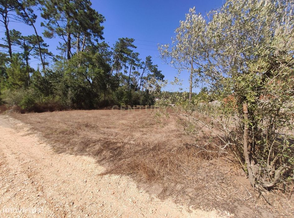 Land for Construction
