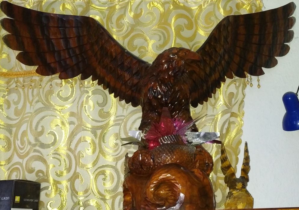 Продам кімнатного ОРЛА