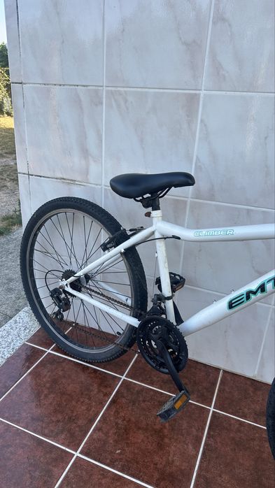 Bicicleta adulto