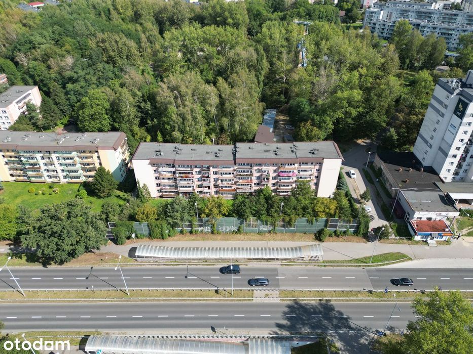 Zdjęcie 8