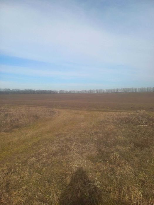 Продається земельна діляка в смт. Стрижавка 6828