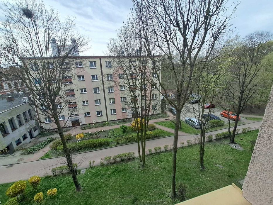 Chorzów u. Dąbrowskiego - mieszkanie w centrum miasta - polecamy