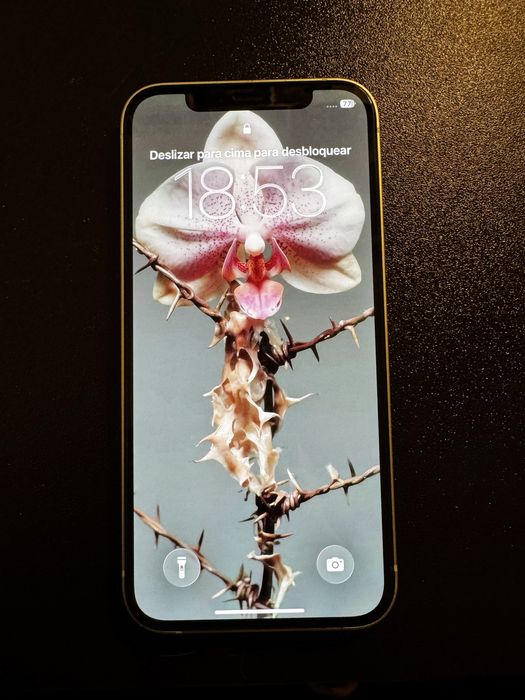 Iphone 12 128 GB + acessorios