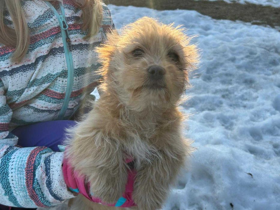 Oddam w dobre ręce !!!