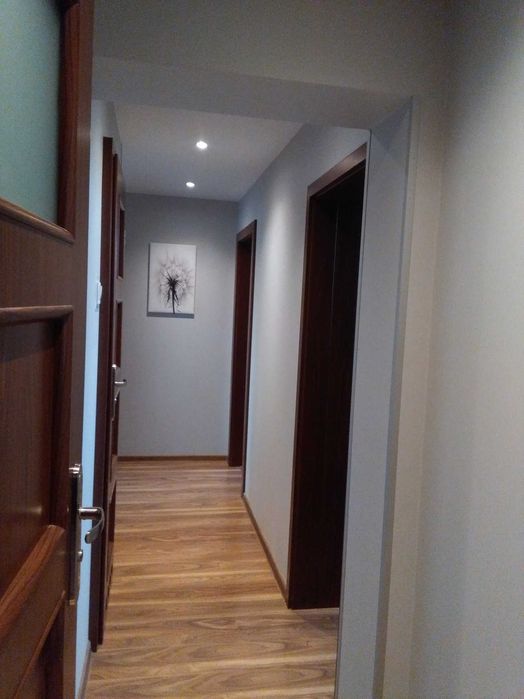 pokój 1 os dla studenta  Wrocław Śródmieście