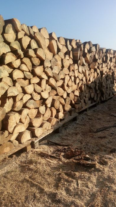 Drewno kominkowe/opałowe