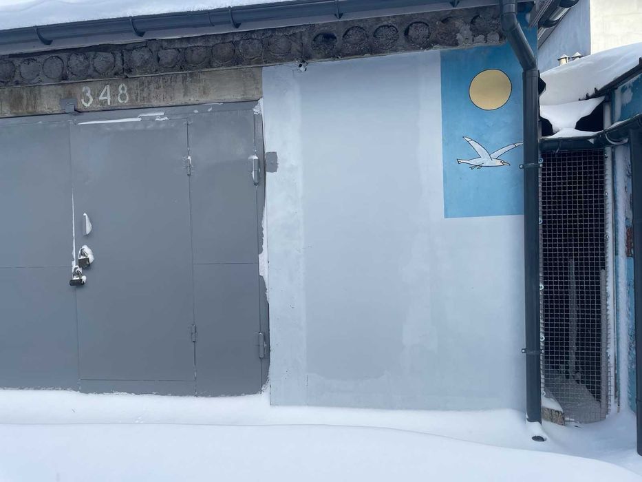 Гараж на 2 автомобіля, Голосіївський район