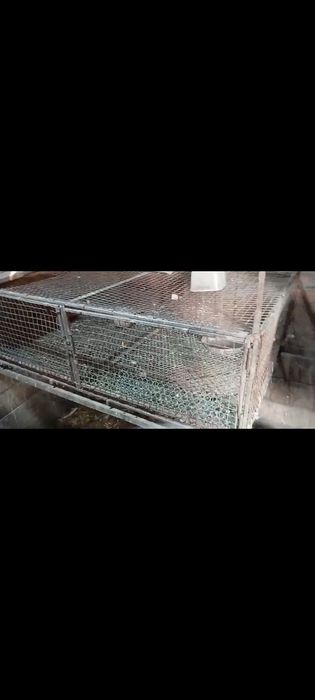 Клетки для сельхоз животных 4 шт цена за клетку