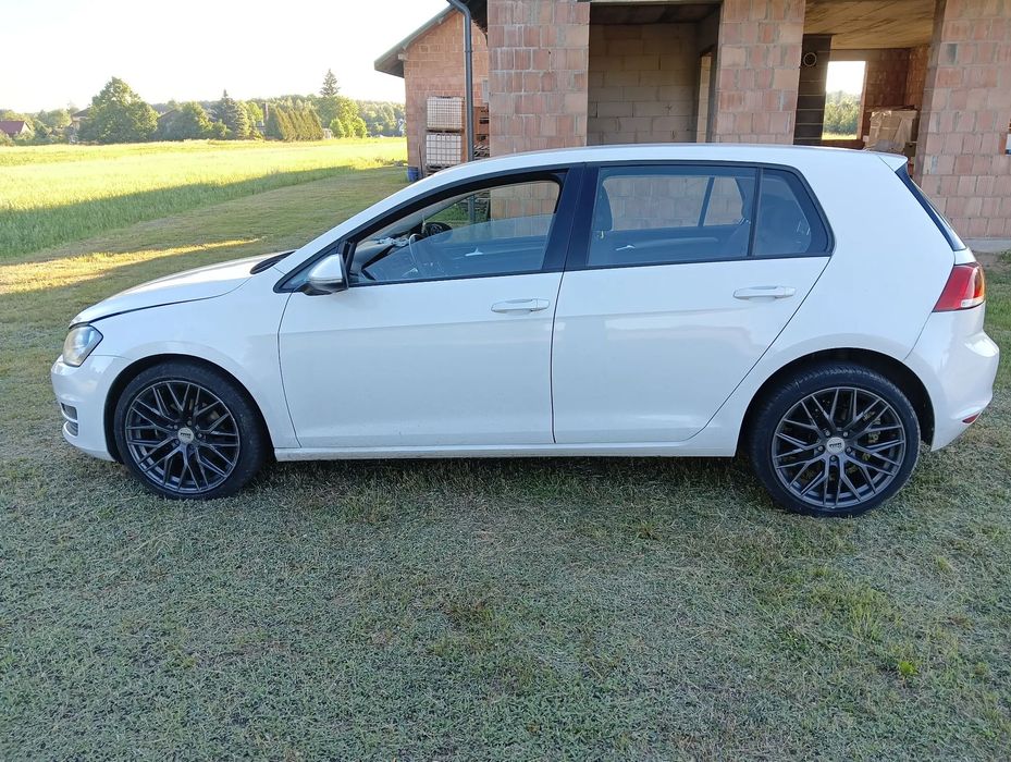 Volkswagen Golf Golf VIII 1.6tdi delikatnie uszkodzony