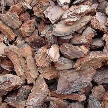 Соснова     кора.