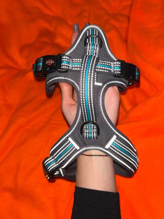 Шлейка для собаки