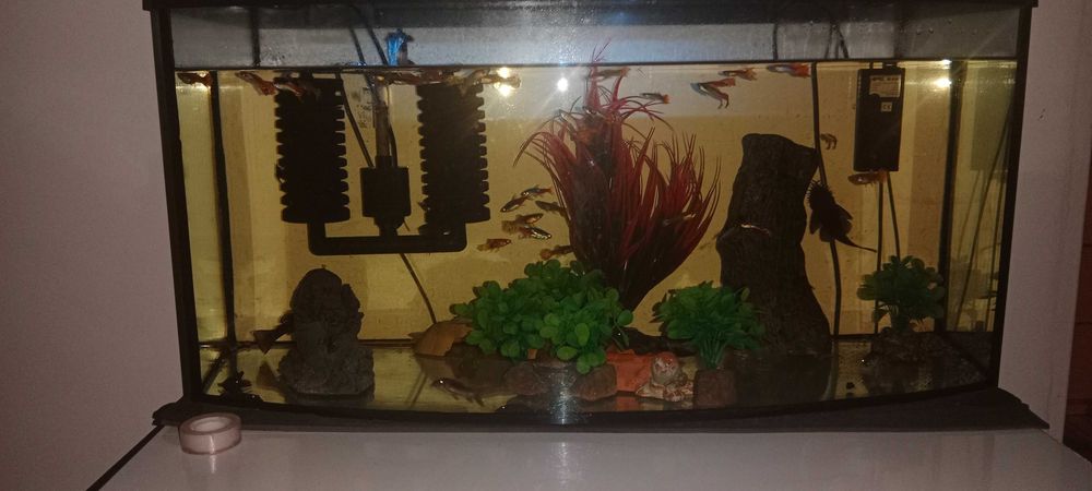 Akwarium 112 l z pokrywą