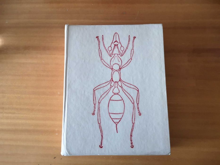 Społeczeństwa owadów - E.O. Wilson