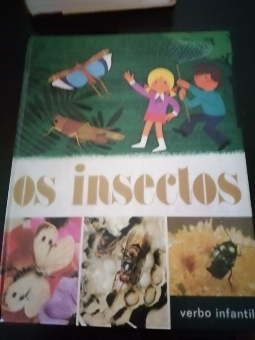 Livros novos infantis
