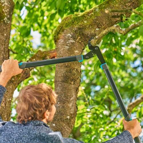 Сучкоріз Gardena EnergyCut Pro L із ковадлом 50 мм. (12052-20). Новий.