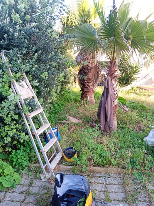 Serviços de jardinagem