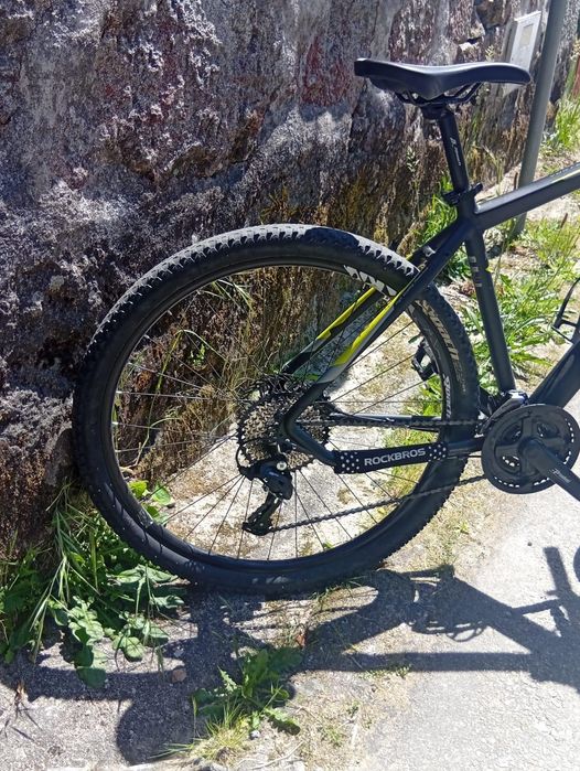 Eleven vortex series