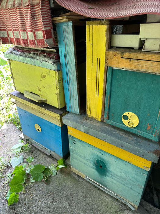 Продам вулики для бджіл