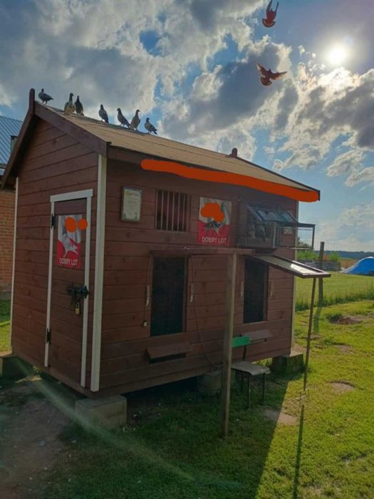 SPRZEDAM! Rewelacyjny Gołębnik Lotowy 3x2m².