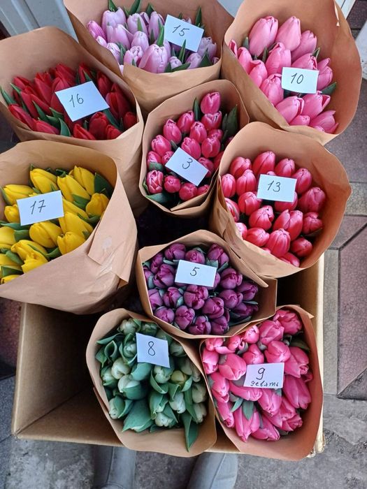 Ліквідація все по 30грн тюльпан з грядки опт та роздріб не голандія