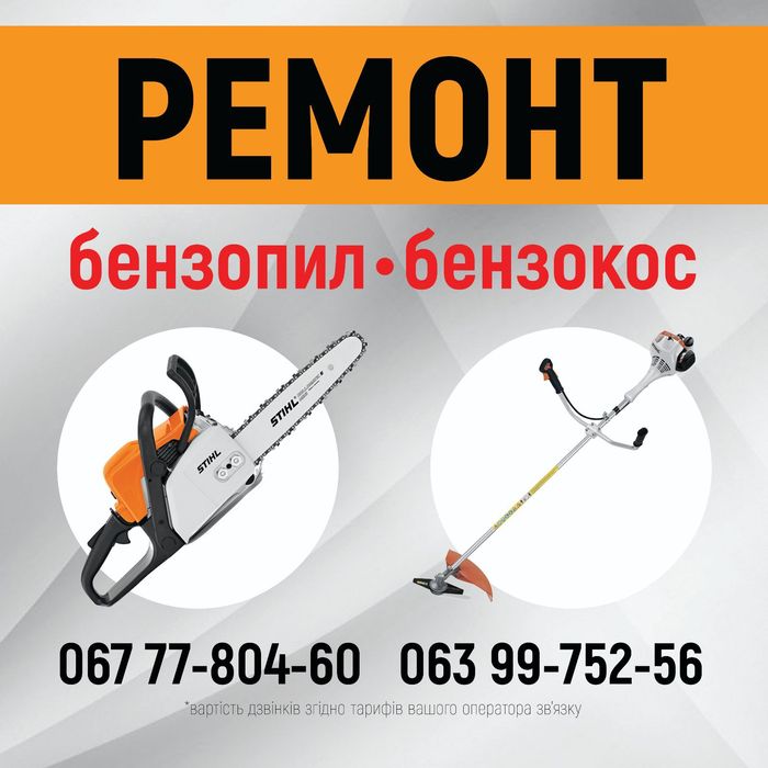 Надаю послуги по Ремонту Бензо інструменту