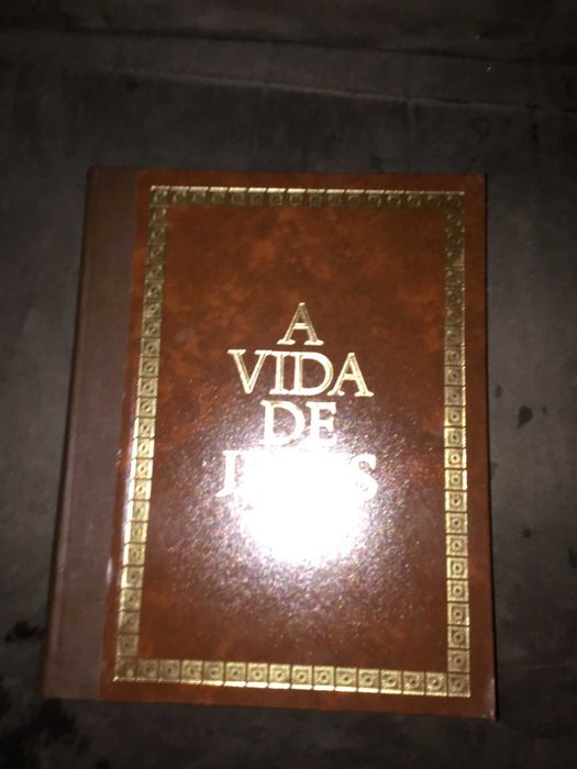 livro a vida de jesus