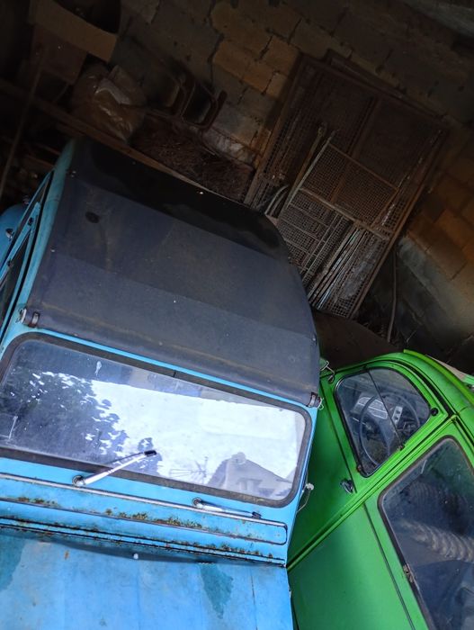 Citroens 2 cv S/D