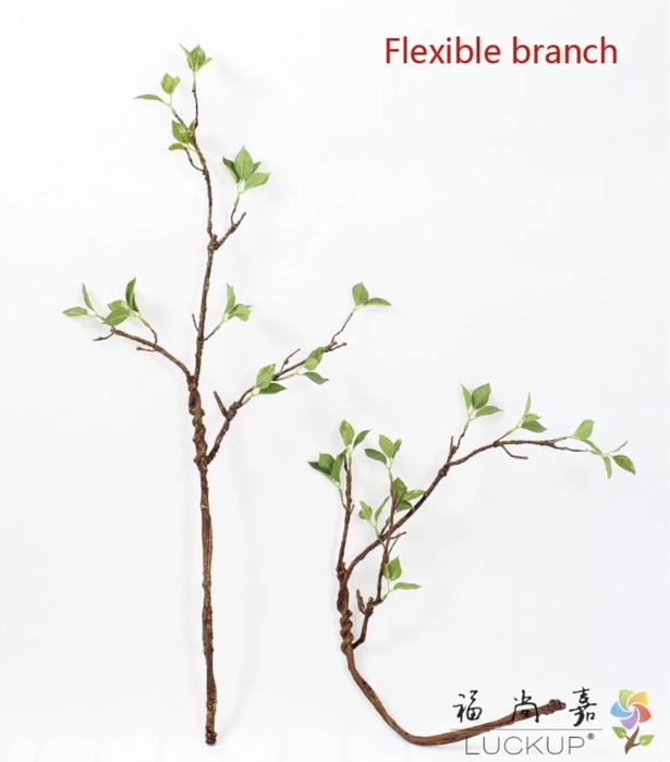 Ліана для тераріуму