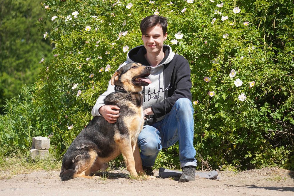 Bary - duży pies szuka domu