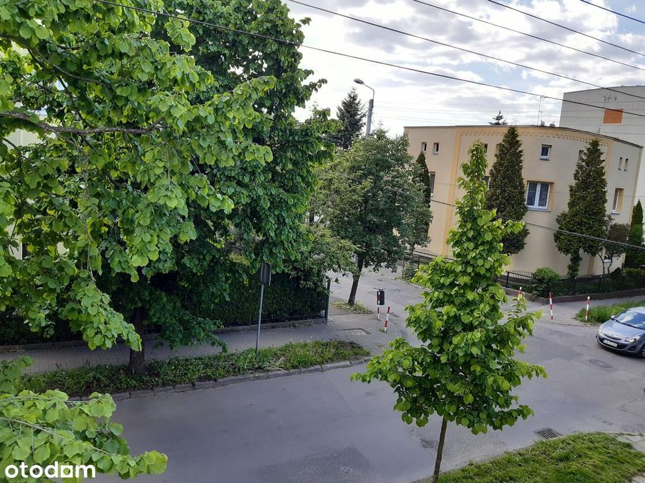 Zdjęcie 6
