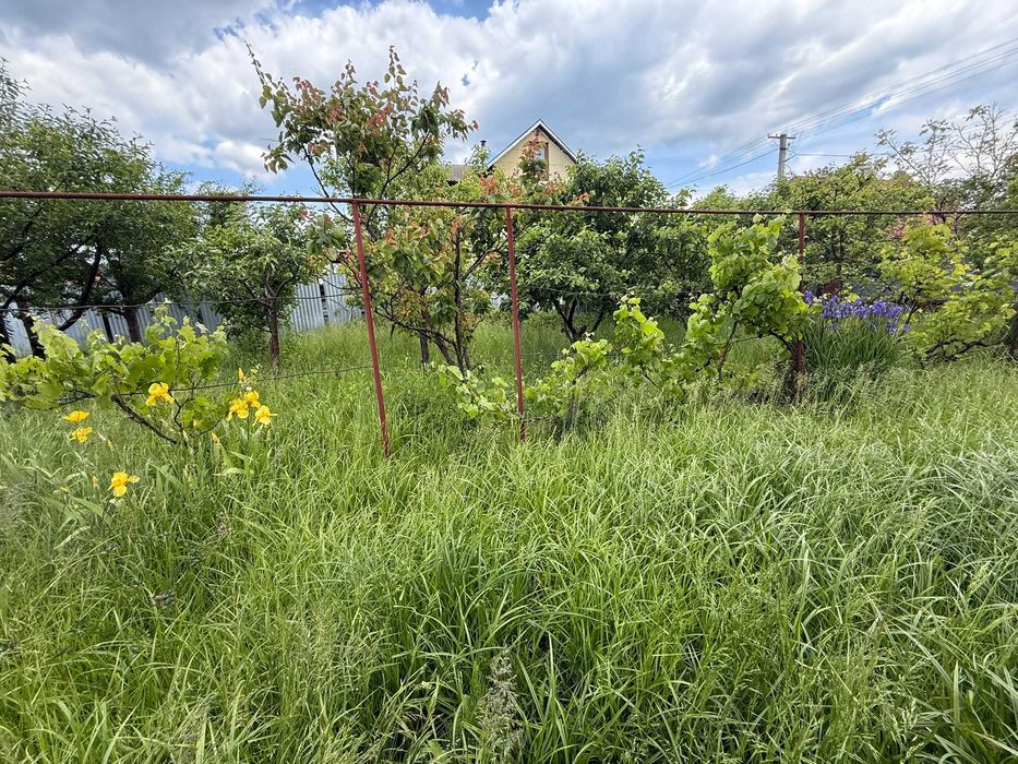 Дом по адресу Петефі Шандора пл. (площадь 259,8 м²) - Atlanta.ua - фото 19