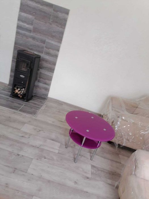 Продам дом с ремонтом в Спасском ,ул.Козинця