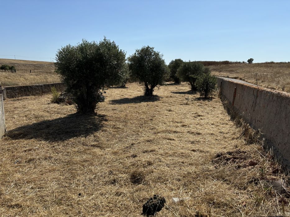 Limpeza de terrenos/quintais