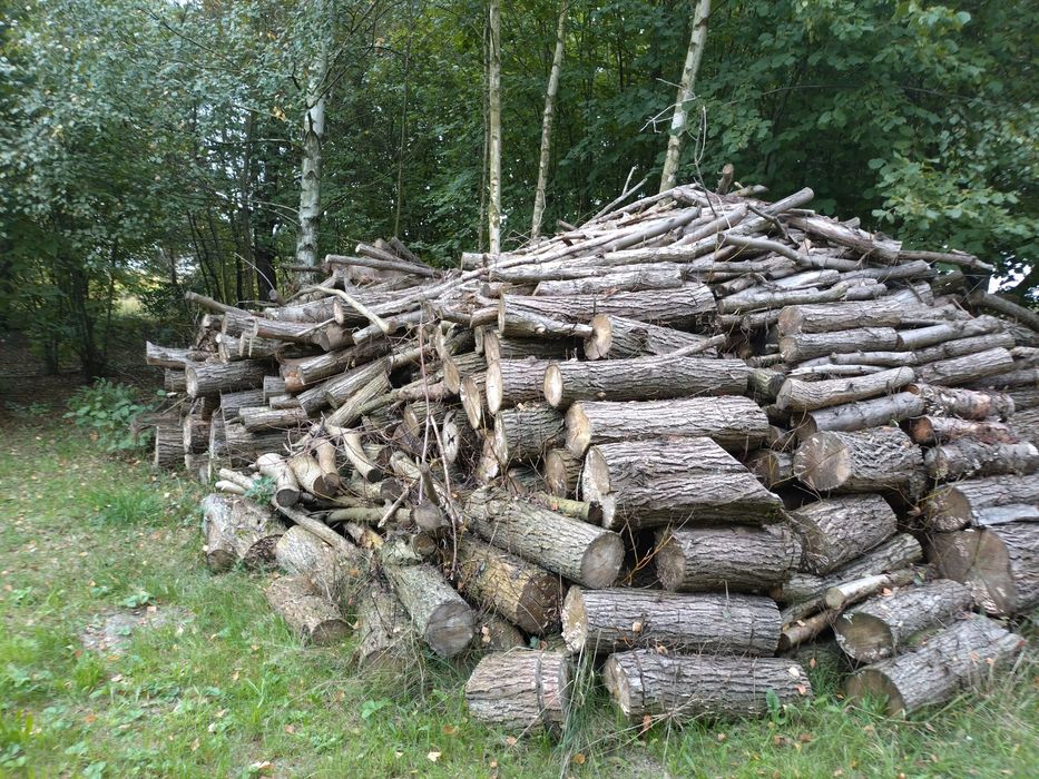 Drewno opałowe na sprzedaż