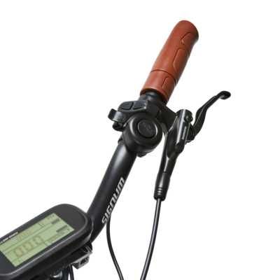 BICICLETA ELÉTRICA Wayscral Everywai E250 T44