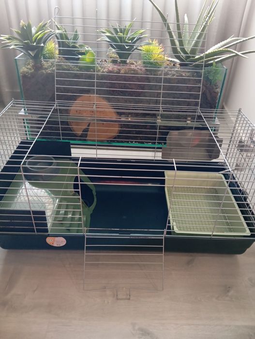 Casota/gaiola- usada