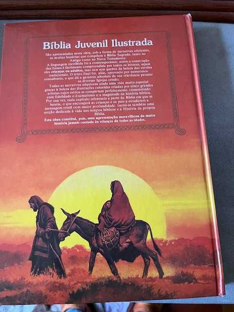 Biblia Juvenil Ilustrada