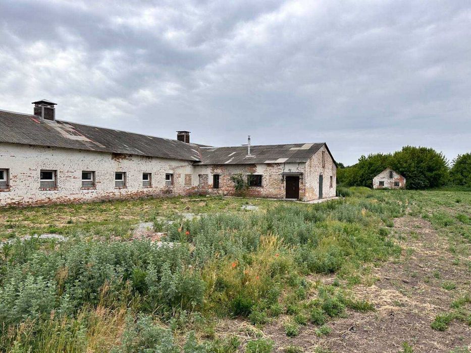 Продаж свиноферми 960м2, 20кВт в с.Великополовецьке