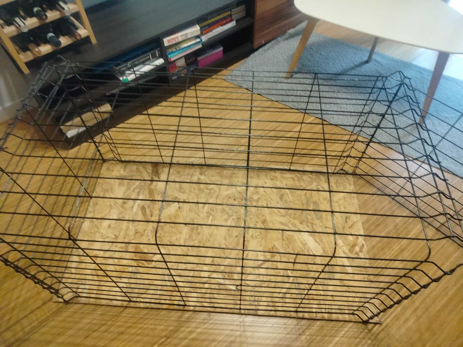 Kojec/Klatka kenelowa dla psa