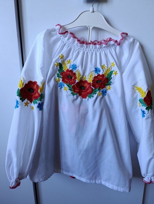 Вишиванка трійка вишита сорочка і спідничка